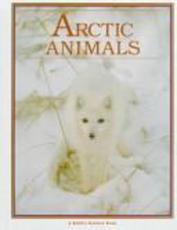 Arctic Animals Arctic Animals