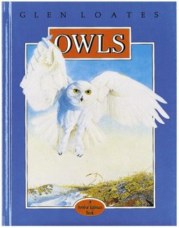 Owls Owls