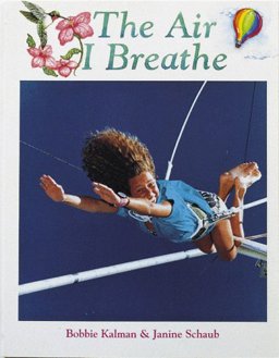 The Air I Breathe The Air I Breathe