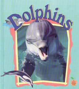 Dolphins Dolphins