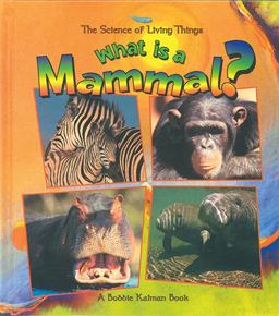 What Is a Mammal? What Is a Mammal?