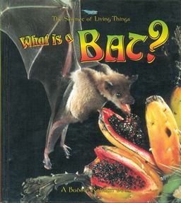 What Is a Bat? What Is a Bat?