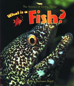 What Is a Fish?  9780865058941 Front Cover