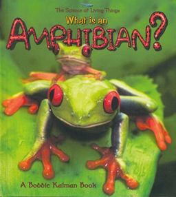 What Is an Amphibian? What Is an Amphibian?
