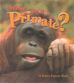 What Is a Primate? What Is a Primate?
