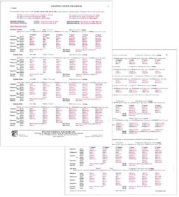 Graphic Greek Grammar  9780865165977 Front Cover