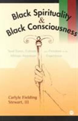 Black Spirituality Papradigm of Human Freedom  9780865436633 Front Cover