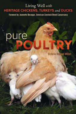 Pure Poultry Living Well with Heritage Chickens, Turkeys and Ducks  9780865717534 Front Cover