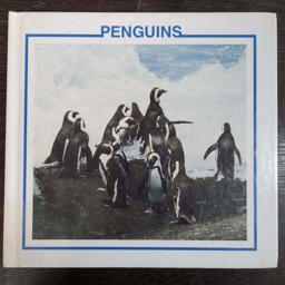 Penguins Penguins