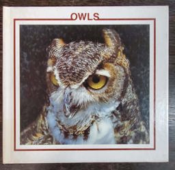 Owls Owls