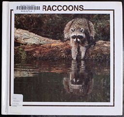 Raccoons Raccoons