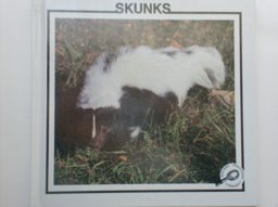 Skunks Skunks