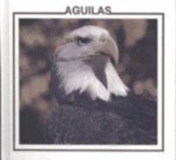 Aguilas (Eagles) Aguilas (Eagles)