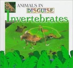 Invertebrates Invertebrates