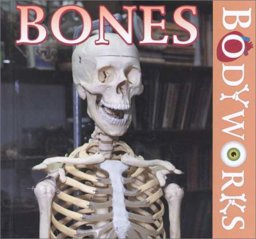 Bones