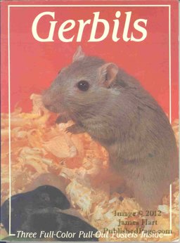 Gerbils
