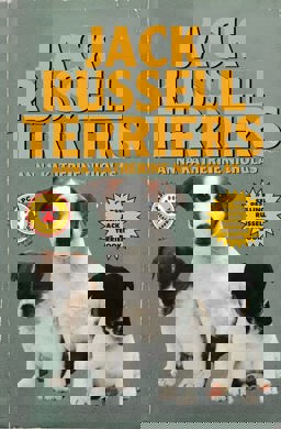 Jack Russell Terriers