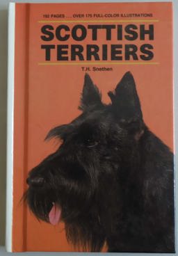 Scottish Terrier