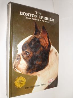 The Boston Terrier