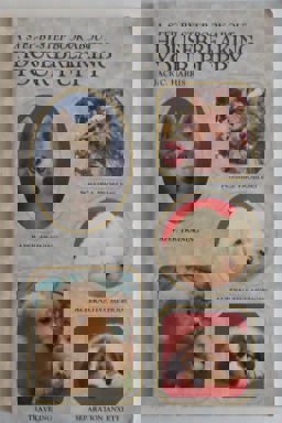 A Step-by-Step Book about Housebreaking Your Puppy