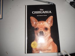 The Chihuahua
