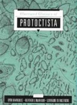 Protoctista Glossary