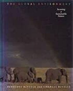 The Global Environment