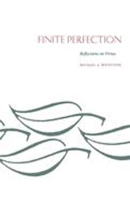 Finite Perfection