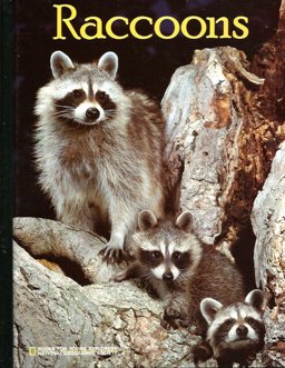 Raccoons
