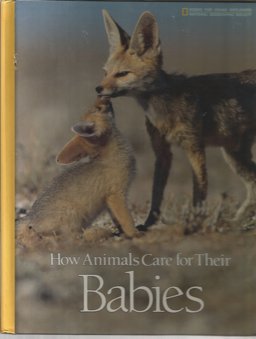 How Animals Care for Their Babies How Animals Care for Their Babies