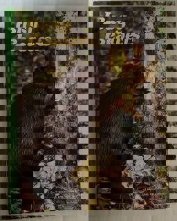 Busy Beavers Busy Beavers