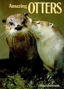 National Geographic Amazing Otters