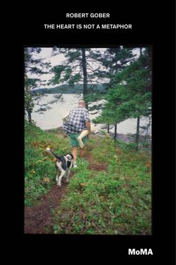 Robert Gober The Heart Is Not a Metaphor  9780870709463 Front Cover