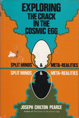 Exploring the Crack in the Cosmic Egg