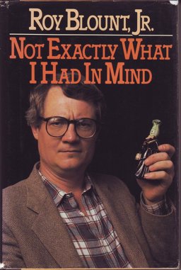 Not Exactly What I Had in Mind