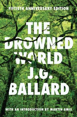 Drowned World A Novel  9780871404060 Front Cover