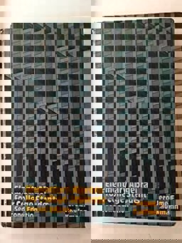 Elementary Algebra for College Students