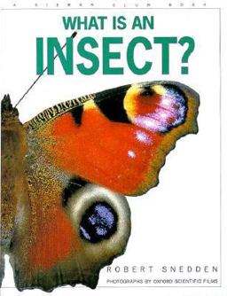 What Is an Insect?
