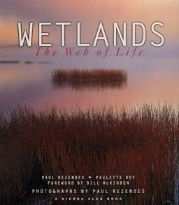 Wetlands