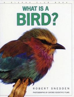 What Is a Bird?