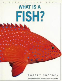 What Is a Fish?