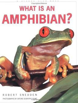 What Is an Amphibian?