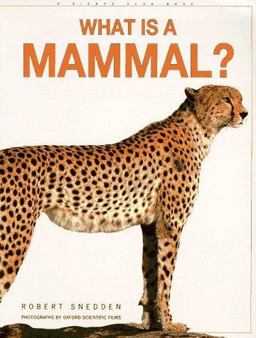 What Is a Mammal?