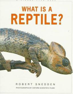 What Is a Reptile?