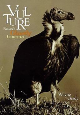 Vulture