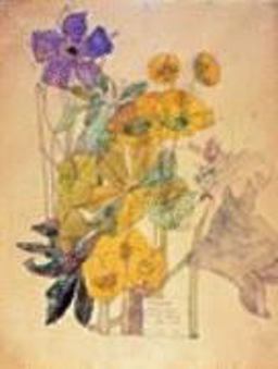 Exploring Visual Design