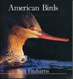 American Birds