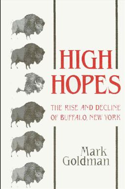 High Hopes The Rise and Decline of Buffalo, New York  9780873957359 Front Cover