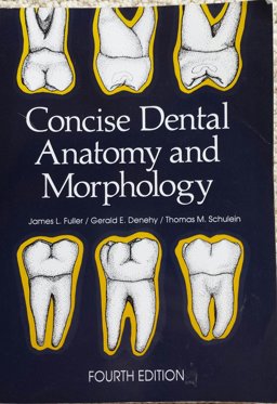 Concise Dental Anatomy and Morphology 4th 9780874141252 Front Cover