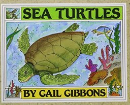 Sea Turtles